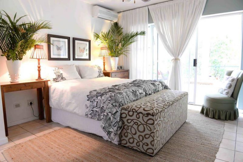Inilah 5 Tanaman Hias Yang Memiliki Manfaat Kesehatan Untuk Ruang Kamar Tidur!