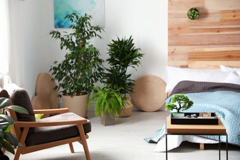 8 Tips Feng Shui Rumah Supaya Penghuni Disukai Oleh Rejeki & Keberuntungan