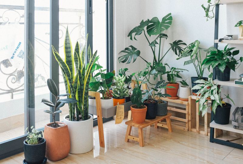 Lahan Hunian Sempit? Coba 4 Trik Berkebun Ini Supaya Tetap Terlihat Cantik dan Asri
