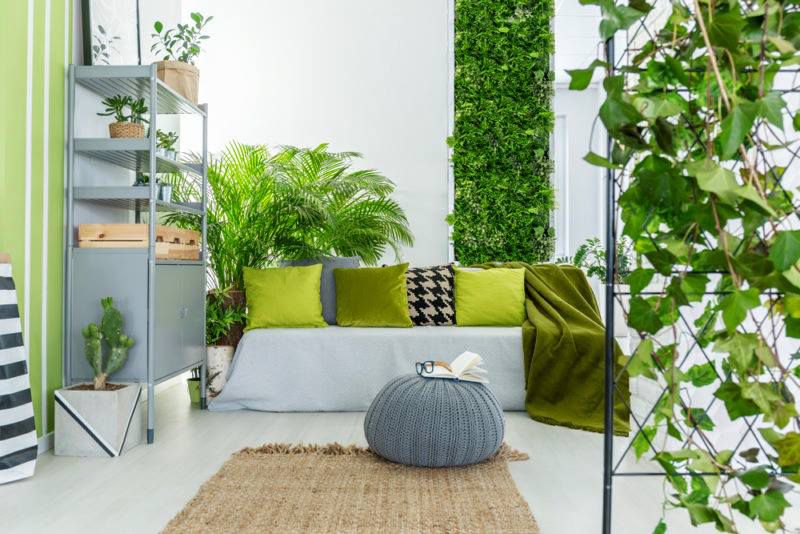Cara Menciptakan Nuansa Taman Rumah Pada Ruang Yang Sempit Di Rumah Anda